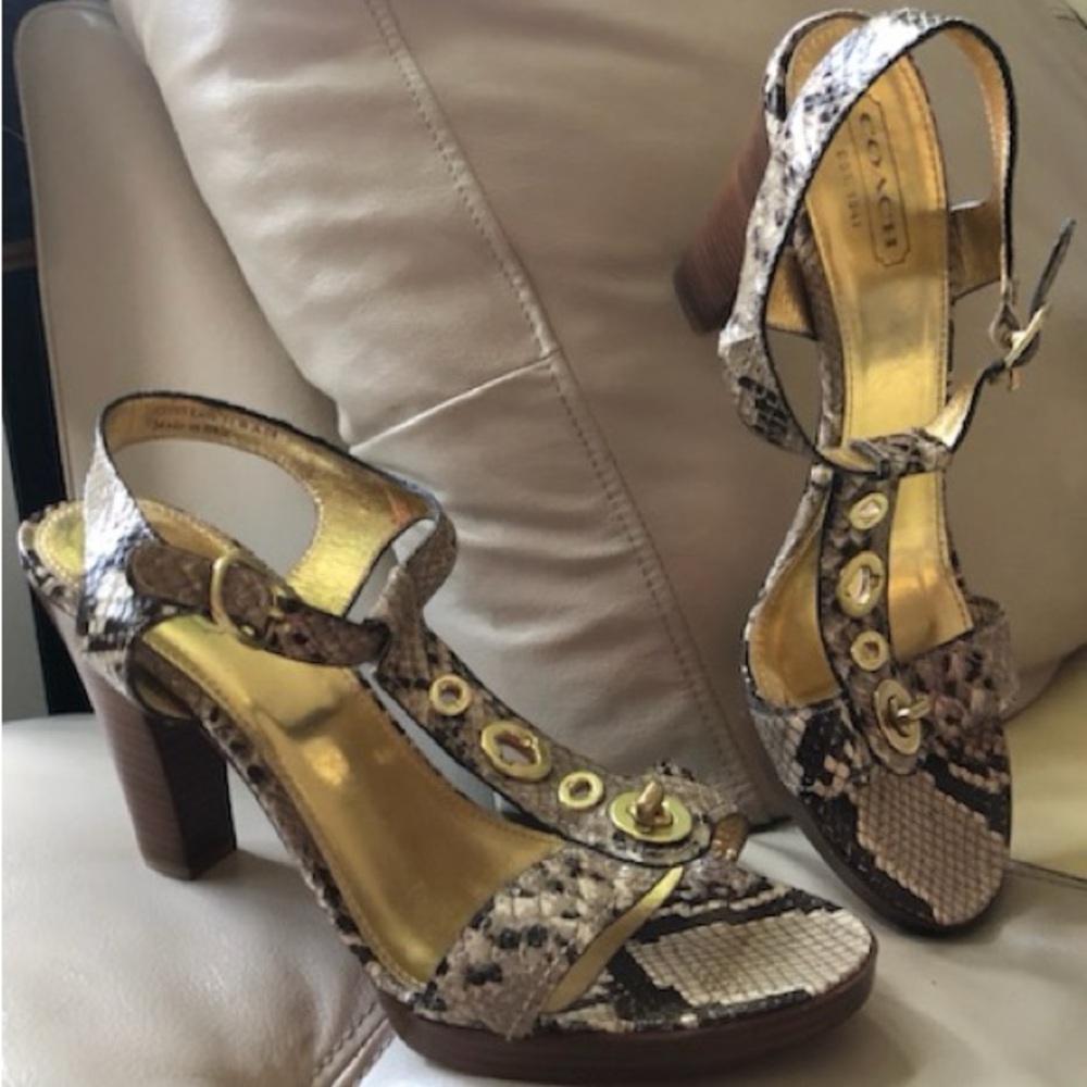 Stylish Coach Gold and Brown Snake Print Heels